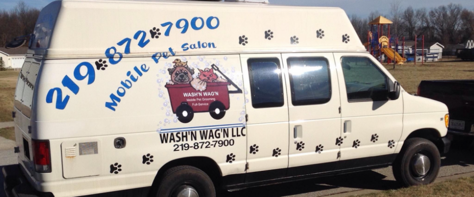 Wash and wag dog hot sale grooming